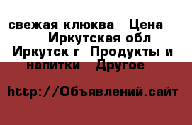свежая клюква › Цена ­ 250 - Иркутская обл., Иркутск г. Продукты и напитки » Другое   